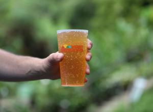 Hand holding Eden Sessions cup filled with cider