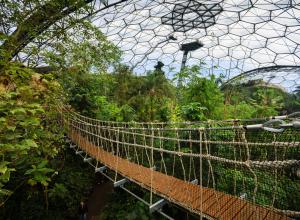 Wobbly Bridge, Rainforest Biome