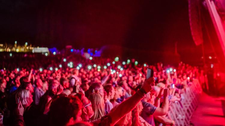 Crowd watching Eden Session holding up phone torches