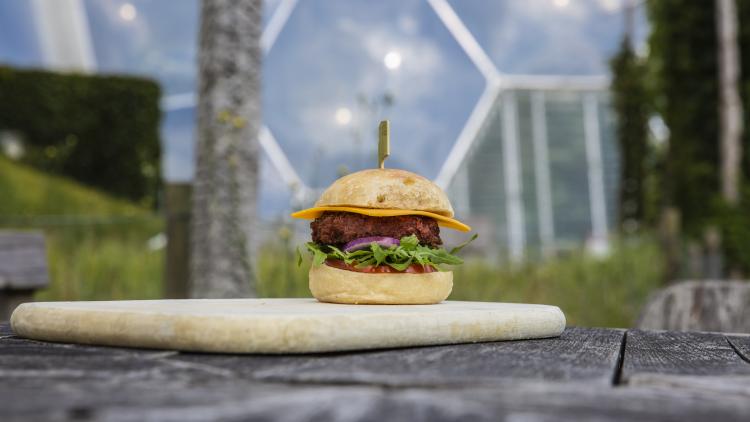 Vegan burger in front of Eden's Biomes