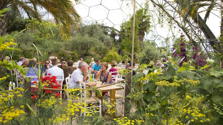 Dining inside the Mediterranean Biome