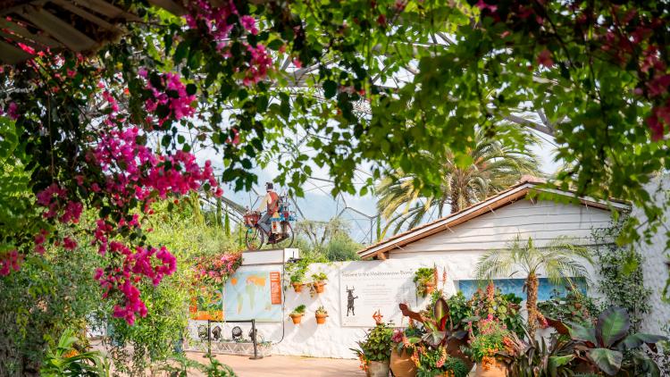 Mediterranean Biome