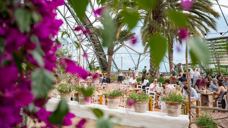 Guests enjoying the Eden Sessions Plus Mediterranean Dinner