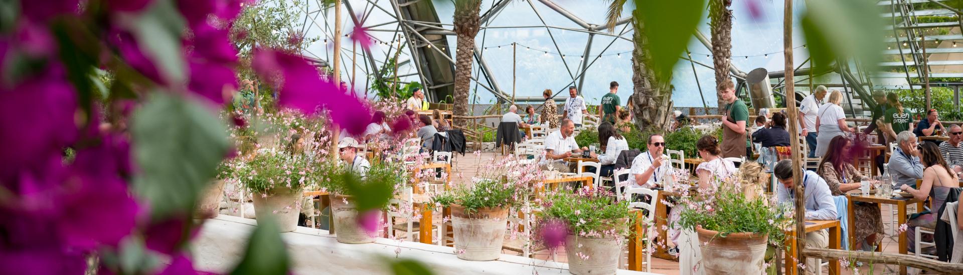 Guests enjoying the Eden Sessions Plus Mediterranean Dinner