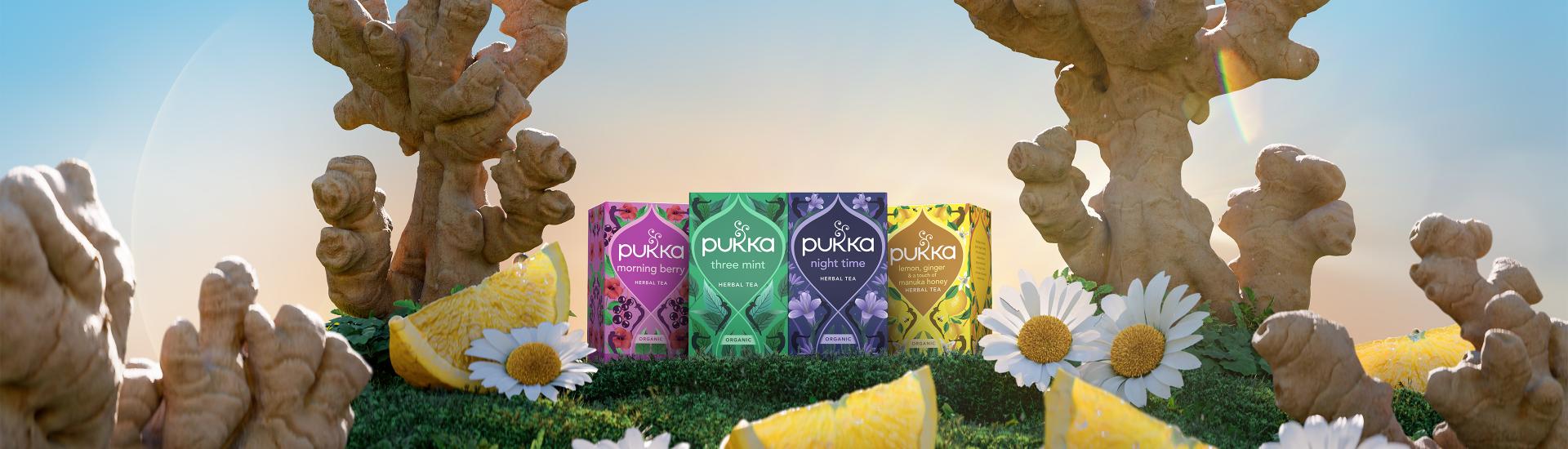 Pukka Brand Campaign Master 2025